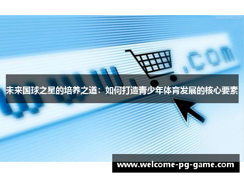未来国球之星的培养之道：如何打造青少年体育发展的核心要素