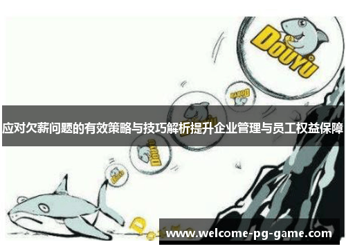 应对欠薪问题的有效策略与技巧解析提升企业管理与员工权益保障
