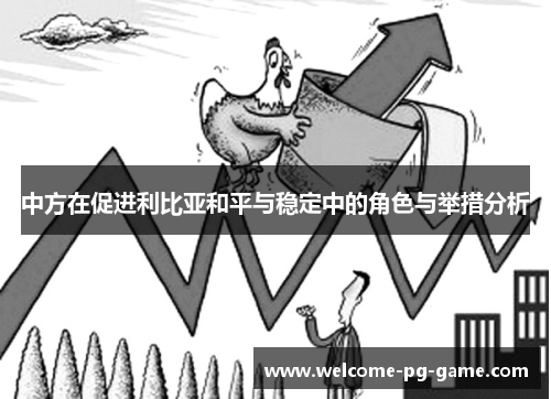 中方在促进利比亚和平与稳定中的角色与举措分析