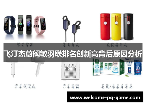 飞汀杰蔚阀敏羽联排名创新高背后原因分析