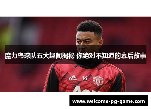 魔力鸟球队五大趣闻揭秘 你绝对不知道的幕后故事 魔力鸟球队五大趣闻揭秘 你绝对不知道的幕后故事