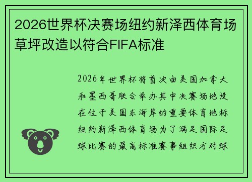 2026世界杯决赛场纽约新泽西体育场草坪改造以符合FIFA标准