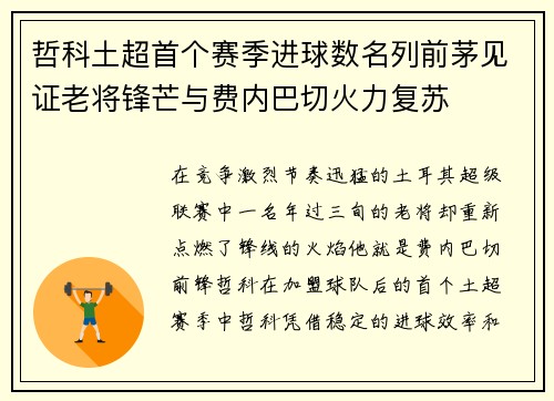哲科土超首个赛季进球数名列前茅见证老将锋芒与费内巴切火力复苏
