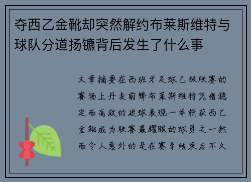 夺西乙金靴却突然解约布莱斯维特与球队分道扬镳背后发生了什么事